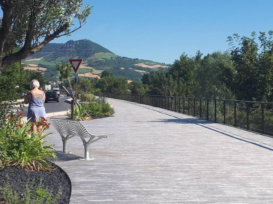 Les Bambous - Rez De Jardin Millau Centre - Parking Privatif, Wifi Lejlighed Eksteriør billede